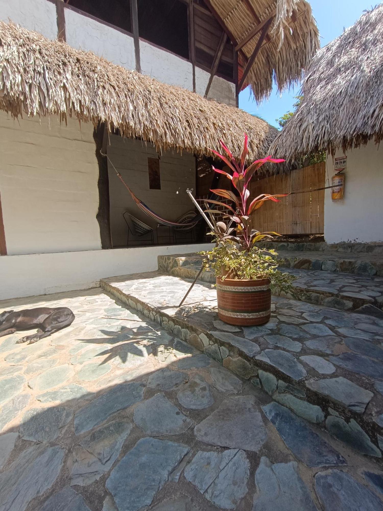 El Paraiso De Carmen Palomino Zewnętrze zdjęcie